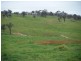 Lot 1 Pejar Road, Goulburn NSW 2580