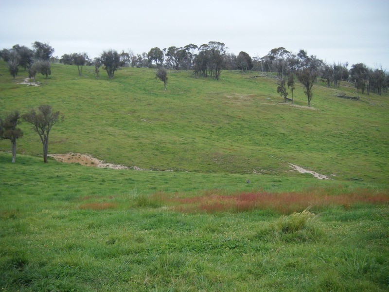 Lot 1 Pejar Road, Goulburn NSW 2580