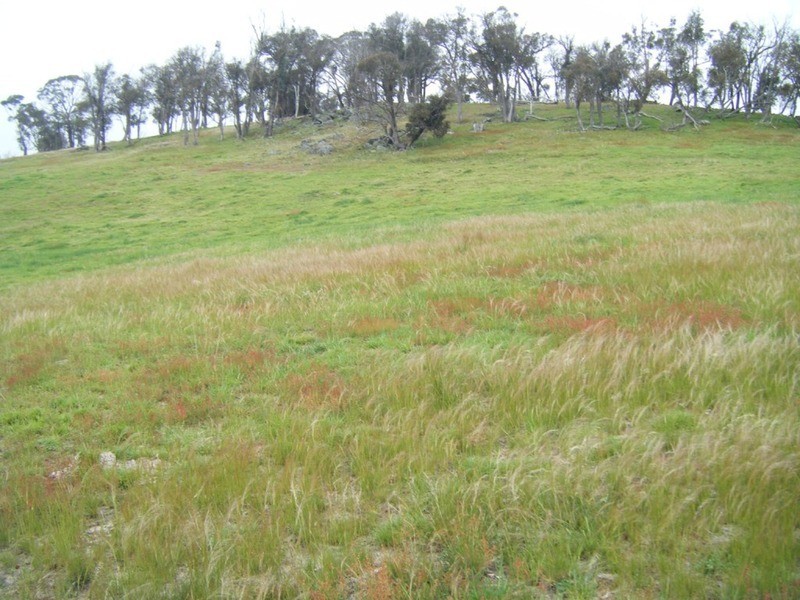 Lot 1 Pejar Road, Goulburn NSW 2580