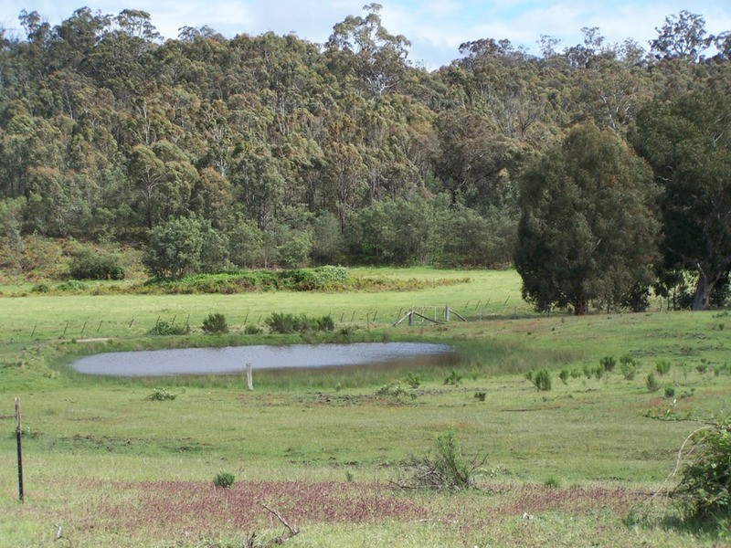 212 Off Millsvale Lane, Fullerton NSW 2583