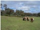 212 Off Millsvale Lane, Fullerton NSW 2583