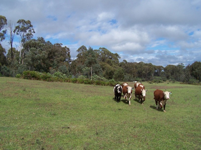212 Off Millsvale Lane, Fullerton NSW 2583