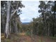 212 Off Millsvale Lane, Fullerton NSW 2583
