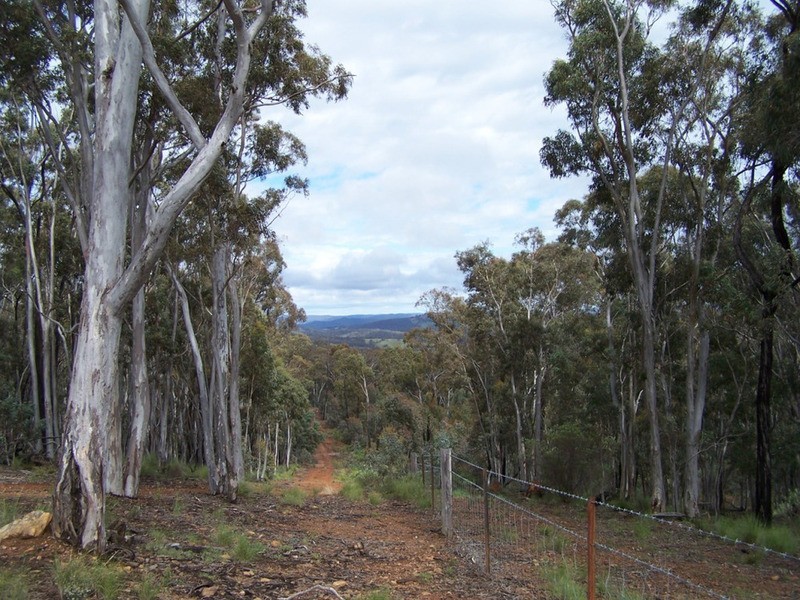 212 Off Millsvale Lane, Fullerton NSW 2583