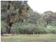212 Off Millsvale Lane, Fullerton NSW 2583