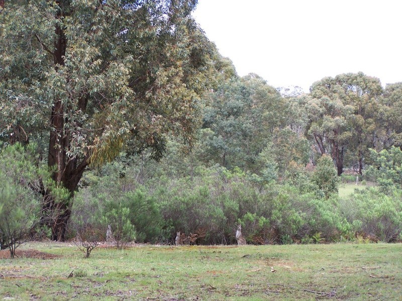 212 Off Millsvale Lane, Fullerton NSW 2583