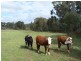 212 Off Millsvale Lane, Fullerton NSW 2583