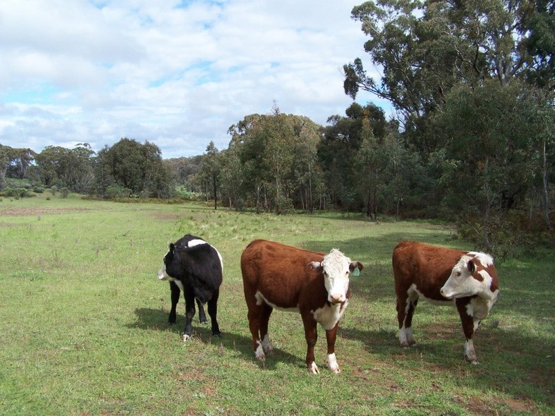 212 Off Millsvale Lane, Fullerton NSW 2583