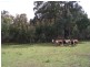 212 Off Millsvale Lane, Fullerton NSW 2583
