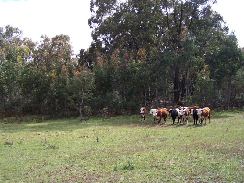 212 Off Millsvale Lane, Fullerton NSW 2583