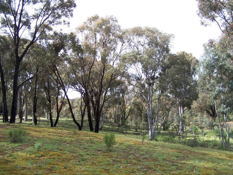 212 Off Millsvale Lane, Fullerton NSW 2583