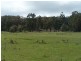 212 Off Millsvale Lane, Fullerton NSW 2583