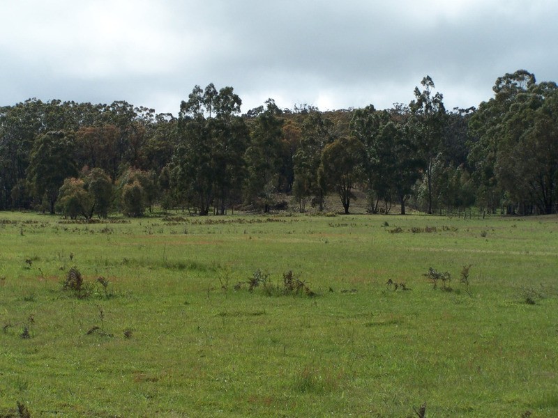 212 Off Millsvale Lane, Fullerton NSW 2583