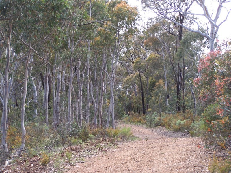 212 Off Millsvale Lane, Fullerton NSW 2583