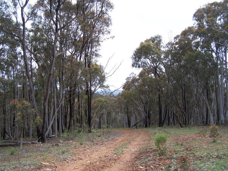 212 Off Millsvale Lane, Fullerton NSW 2583