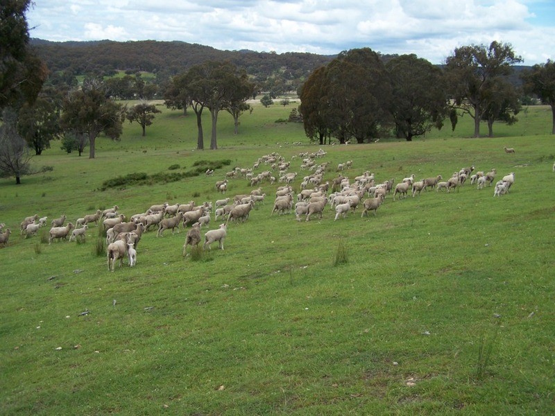 Lot 1 Junction Point Road, Binda NSW 2583