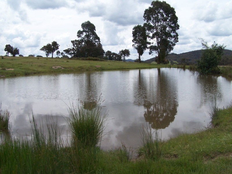 Lot 1 Junction Point Road, Binda NSW 2583