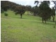 Lot 1 Junction Point Road, Binda NSW 2583