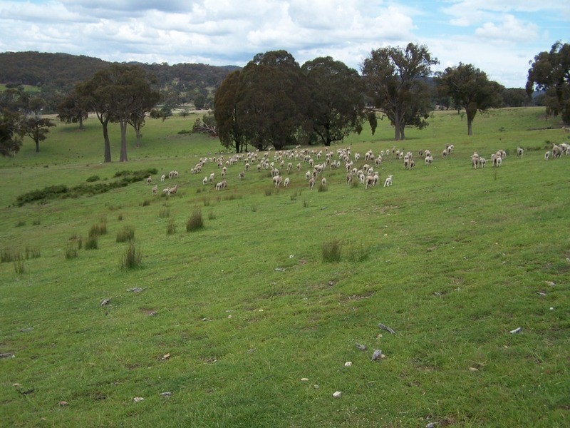 Lot 1 Junction Point Road, Binda NSW 2583