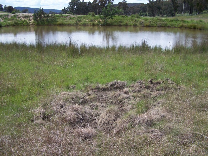 Lot 1 Junction Point Road, Binda NSW 2583