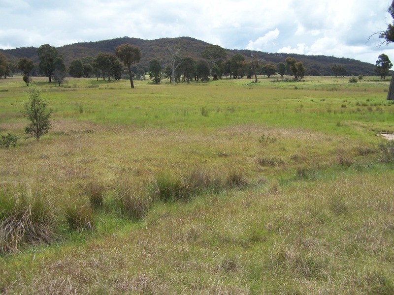 Lot 1 Junction Point Road, Binda NSW 2583