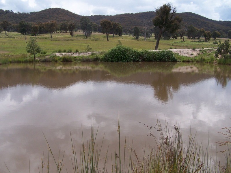 Lot 1 Junction Point Road, Binda NSW 2583