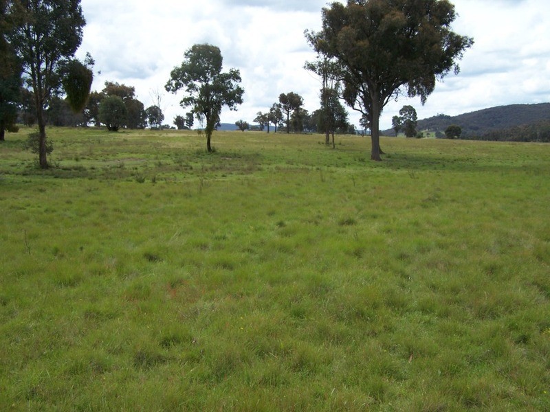Lot 1 Junction Point Road, Binda NSW 2583