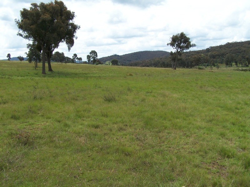Lot 1 Junction Point Road, Binda NSW 2583