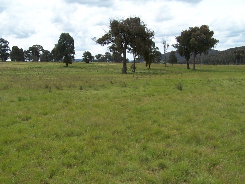 Lot 1 Junction Point Road, Binda NSW 2583