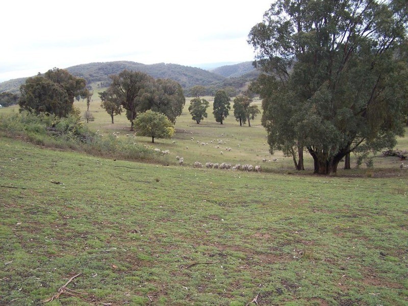 Lot 1 Junction Point Road, Binda NSW 2583