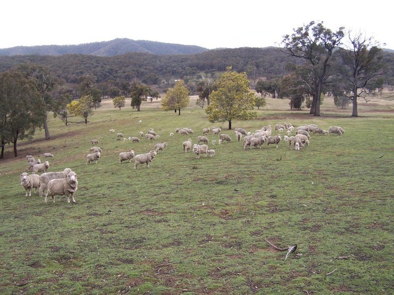 Lot 1 Junction Point Road, Binda NSW 2583