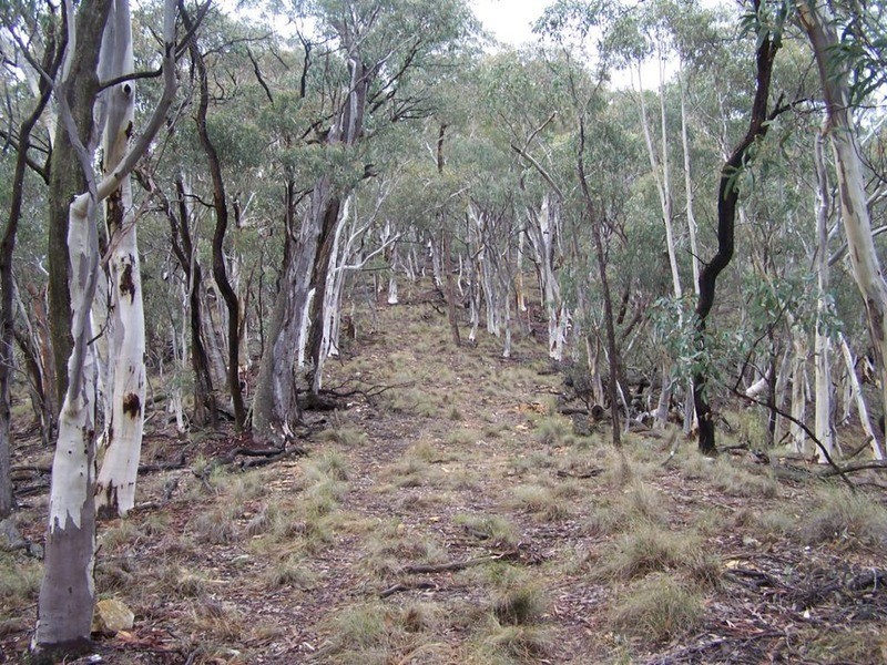 Lot 1 Junction Point Road, Binda NSW 2583