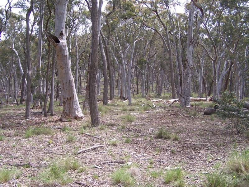 Lot 2 Junction Point Road, Binda NSW 2583