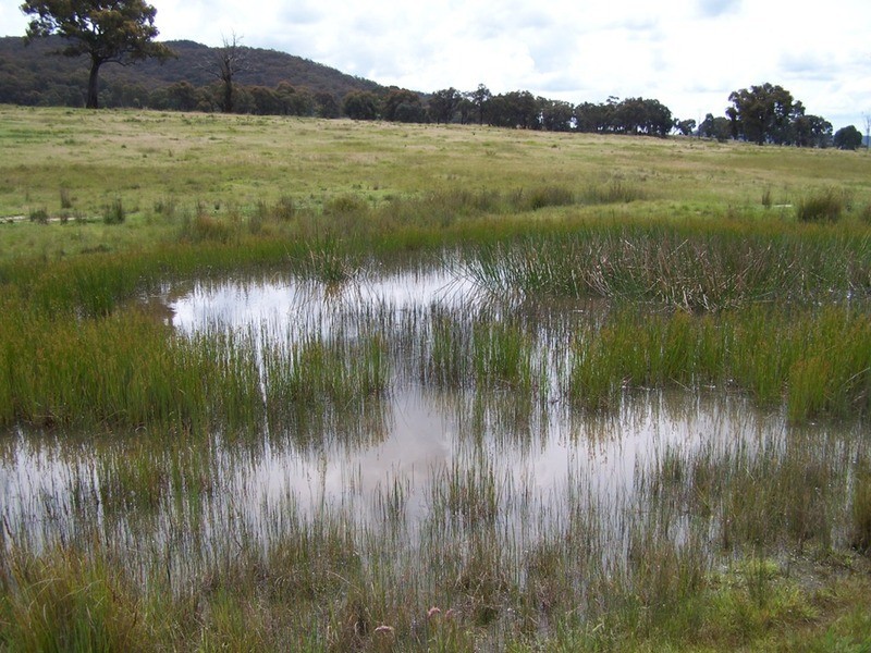 Lot 2 Junction Point Road, Binda NSW 2583