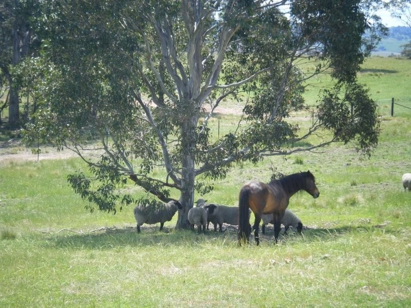 12 Garmoran Valley Road, Marulan NSW 2579