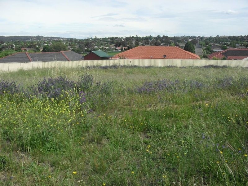 6 Dimitri Street, Goulburn NSW 2580