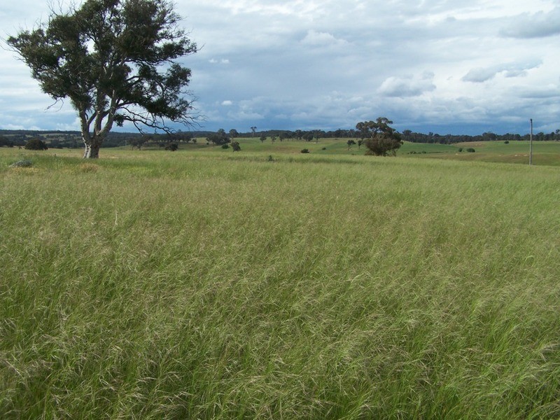 Lots 31 & 32 Ravenswood Lane, Quialigo NSW 2580