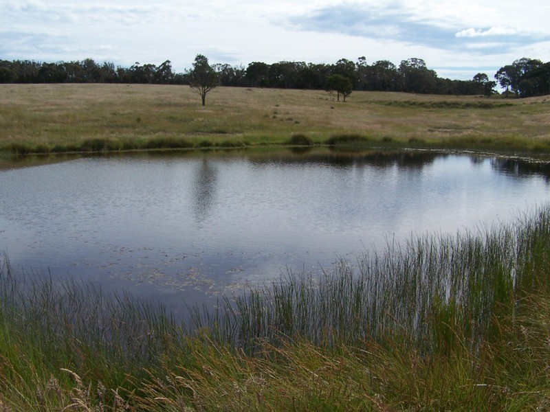 Lots 31 & 32 Ravenswood Lane, Quialigo NSW 2580