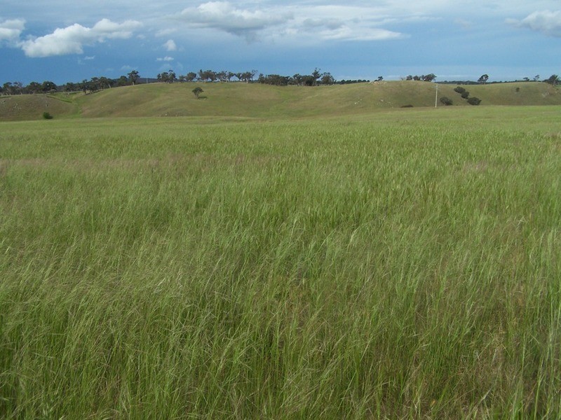 Lots 31 & 32 Ravenswood Lane, Quialigo NSW 2580