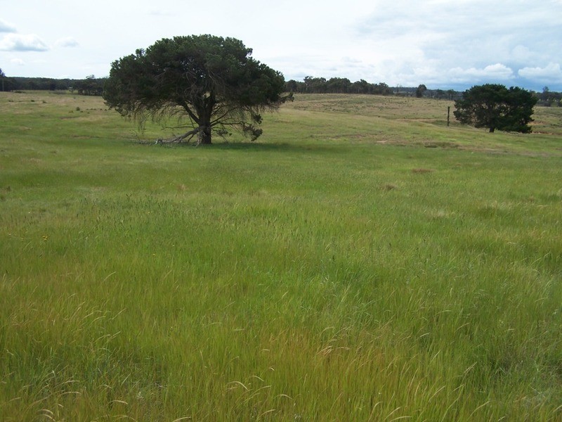 Lots 31 & 32 Ravenswood Lane, Quialigo NSW 2580