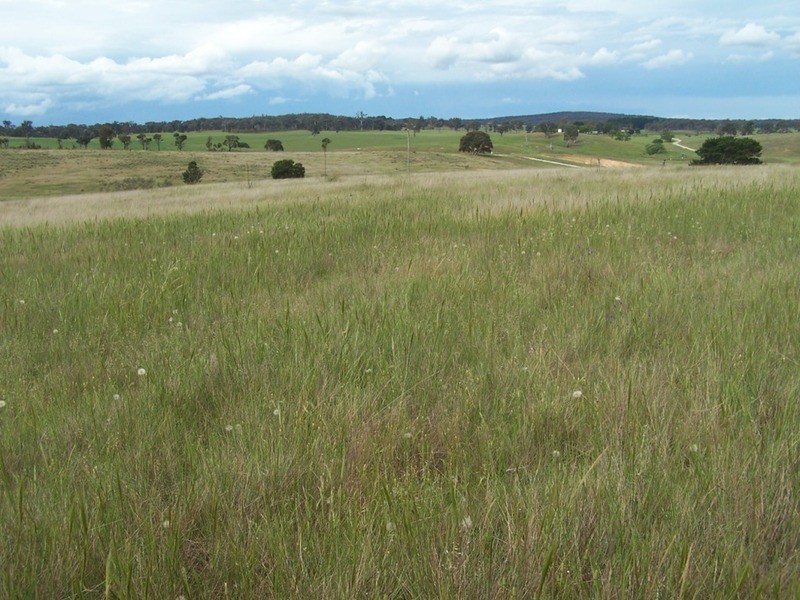 Lots 31 & 32 Ravenswood Lane, Quialigo NSW 2580