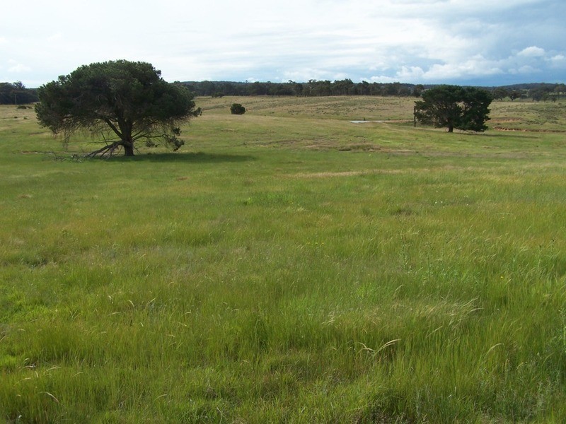 Lots 31 & 32 Ravenswood Lane, Quialigo NSW 2580