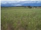 Lots 31 & 32 Ravenswood Lane, Quialigo NSW 2580