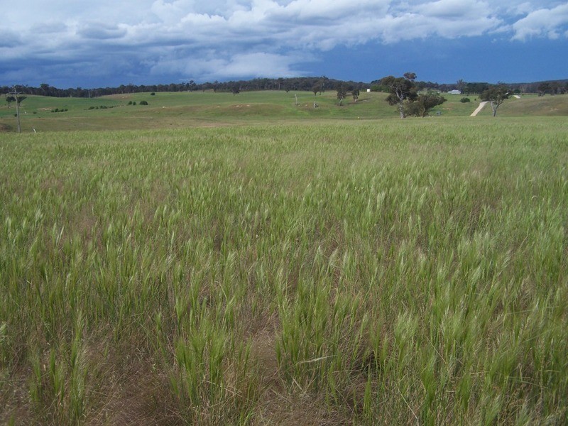 Lots 31 & 32 Ravenswood Lane, Quialigo NSW 2580