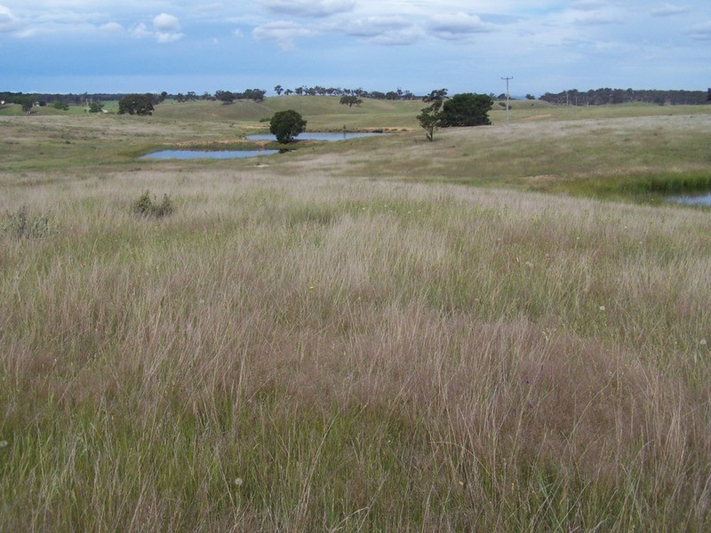 Lots 31 & 32 Ravenswood Lane, Quialigo NSW 2580