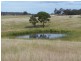 Lots 31 & 32 Ravenswood Lane, Quialigo NSW 2580