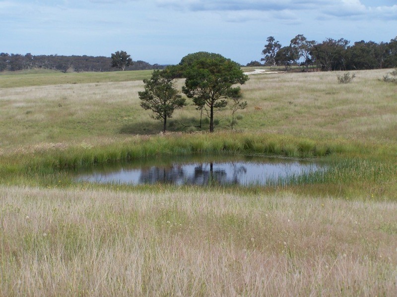 Lots 31 & 32 Ravenswood Lane, Quialigo NSW 2580