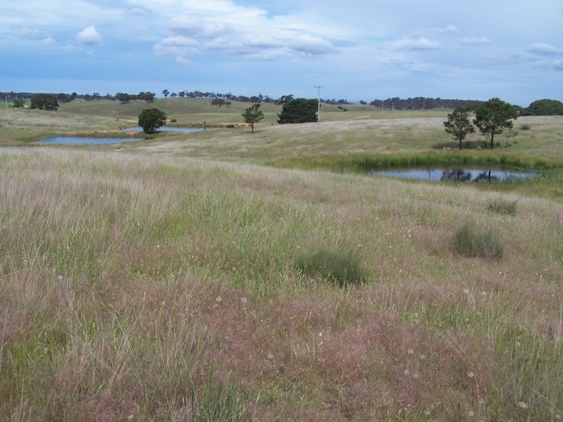 Lots 31 & 32 Ravenswood Lane, Quialigo NSW 2580