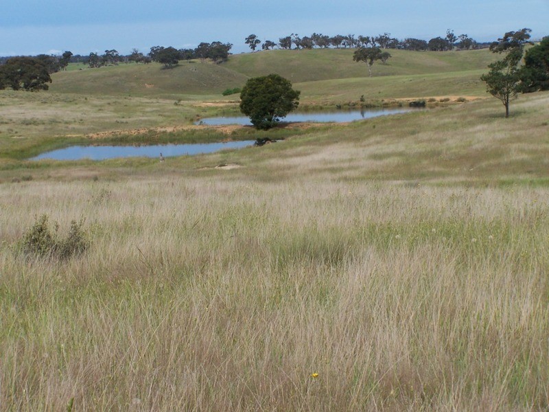 Lots 31 & 32 Ravenswood Lane, Quialigo NSW 2580