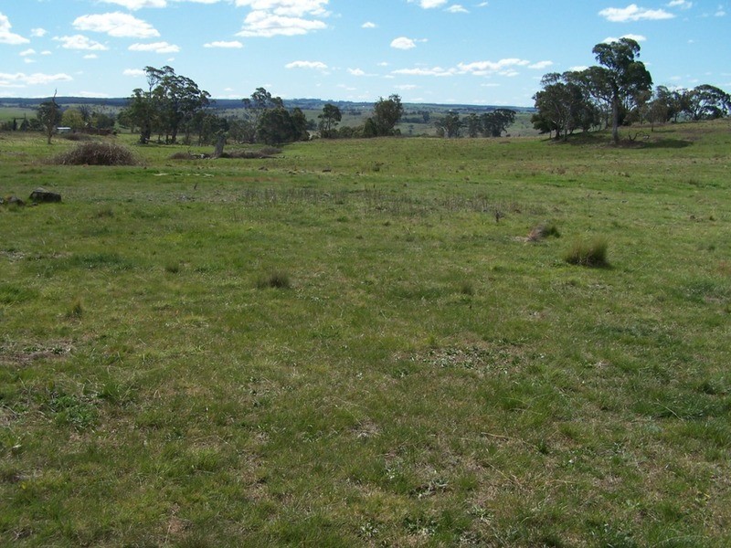 425 Chapmans Lane, Chatsbury NSW 2580